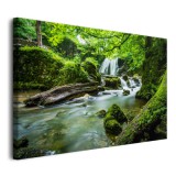 Obraz na ścianę Zielona natura - leśny krajobraz z wodospadem i strumykiem 92127 Naklejkomania - zdjecie 2 - miniatura