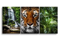 Obraz tryptyk Dzika natura - wodospad, tygrys i dżungla 92145 Naklejkomania - zdjecie 1 - miniatura