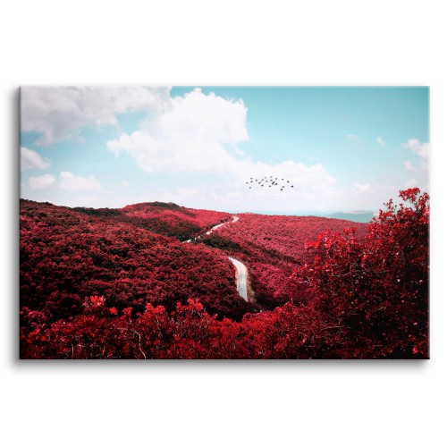 Obraz na ramie Romantyczny krajobraz - błękitne niebo nad lasem różowych kwiatów  92116 Naklejkomania - zdjecie 1