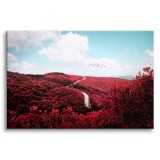 Obraz na ramie Romantyczny krajobraz - błękitne niebo nad lasem różowych kwiatów  92116 Naklejkomania - zdjecie 1 - miniatura