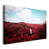 Obraz na ramie Romantyczny krajobraz - błękitne niebo nad lasem różowych kwiatów  92116 Naklejkomania - zdjecie 2 - miniatura