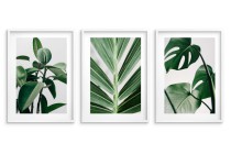 Zestaw trzech plakatów ozdobnych na ścianę Estetyczne rośliny - zielone liście, natura 91039 Naklejkomania - zdjecie 3 - miniatura