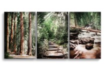 Obrazy Tryptyki Naturalne leśne widoki z zielonymi drzewami 92144 Naklejkomania - zdjecie 1 - miniatura