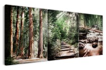 Obrazy Tryptyki Naturalne leśne widoki z zielonymi drzewami 92144 Naklejkomania - zdjecie 2 - miniatura