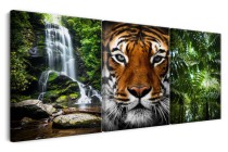 Obraz tryptyk Dzika natura - wodospad, tygrys i dżungla 92145 Naklejkomania - zdjecie 2 - miniatura