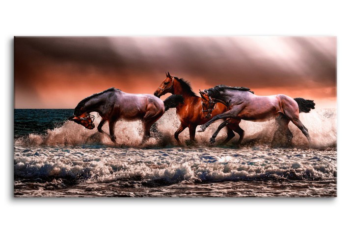Obraz na płótnie Pędzące konie - zwierzęta na morzu z burzowym niebem 92128
