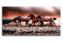 Obraz na płótnie Pędzące konie - zwierzęta na morzu z burzowym niebem 92128 Naklejkomania - zdjecie 1 - miniatura