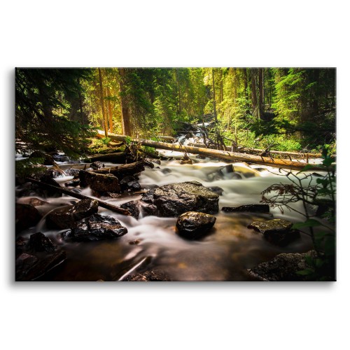 Obraz na płótne Dziki strumyk - leśny krajobraz natury; drzewa, potok i kamienie 92125 Naklejkomania - zdjecie 1