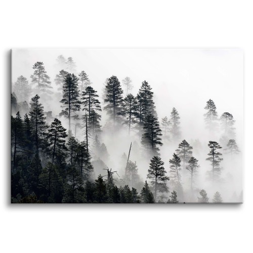 Obraz na ścianę Dzika natura lasu - poranna mgła między drzewami 92124 Naklejkomania - zdjecie 1
