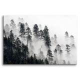 Obraz na ścianę Dzika natura lasu - poranna mgła między drzewami 92124 Naklejkomania - zdjecie 1 - miniatura
