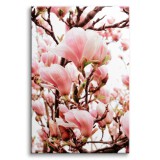 Obraz na płótnie Wiosna - różowe kwiaty magnolii na gałęziach drzew 92136 Naklejkomania - zdjecie 1 - miniatura