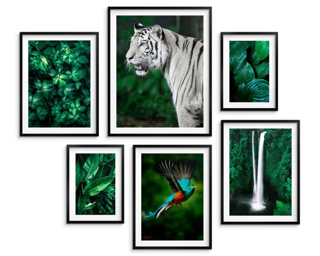 Zestaw plakatów Egzotyczna natura w barwach zieleni 23161 Naklejkomania - zdjecie 1