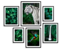 Zestaw plakatów Egzotyczna natura w barwach zieleni 23161 Naklejkomania - zdjecie 1 - miniatura
