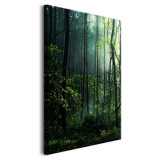 Obraz na ścianę Wnętrze lasu - zielona przyroda, drzewa i mgła  92138 Naklejkomania - zdjecie 2 - miniatura