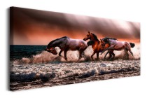 Obraz na płótnie Pędzące konie - zwierzęta na morzu z burzowym niebem 92128 Naklejkomania - zdjecie 2 - miniatura