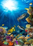 Panel szklany do łazienki W oceanie - ryby i rafa koralowa pod wodą 93026 Naklejkomania - zdjecie 2 - miniatura