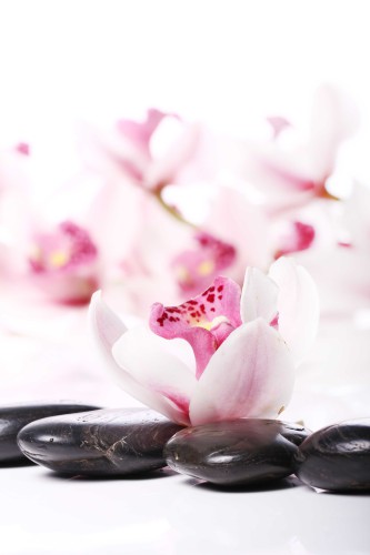 Fototapeta do łazienki różowa orchidea 24012 - zdjęcie 2