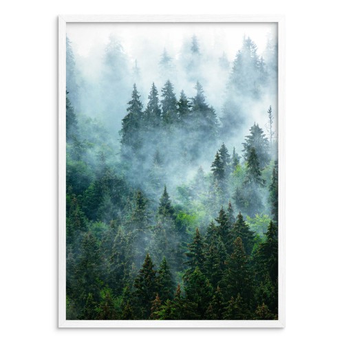 Plakat Zaczarowany las 61140 - zdjęcie 3
