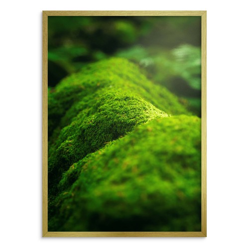 Plakat na ścianę poster z pięknym widokiem na mech 61481 - zdjęcie 3