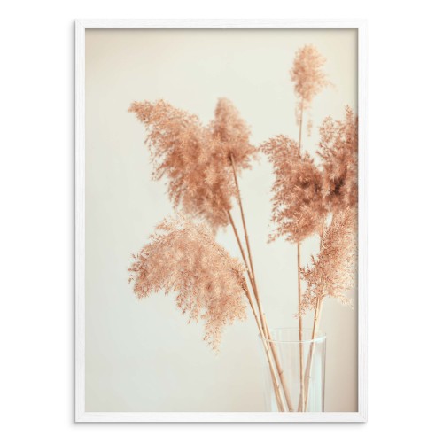 Plakat na ścianę poster suche rośliny 61604 Naklejkomania - zdjecie 1