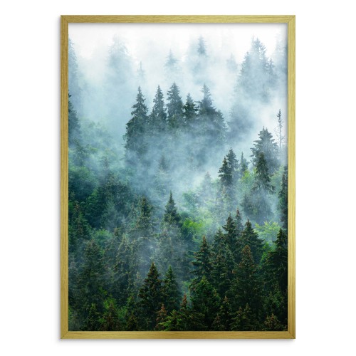 Plakat Zaczarowany las 61140 - zdjęcie 2