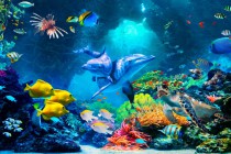Panel szklany do łazienki Błekitny świat - rafa koralwa i wodne zwierzęta 93025 Naklejkomania - zdjecie 2 - miniatura