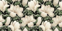 Fototapeta do łazienki białe kwiaty 23076 Naklejkomania - zdjecie 2 - miniatura