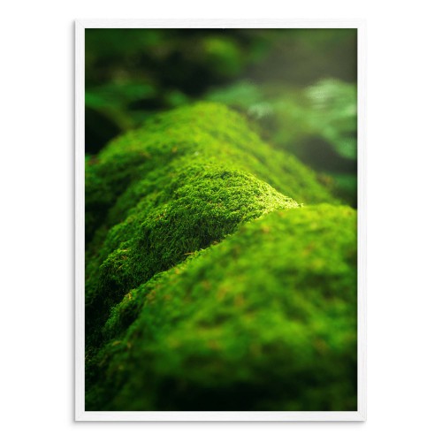 Plakat na ścianę poster z pięknym widokiem na mech 61481 - zdjęcie 2