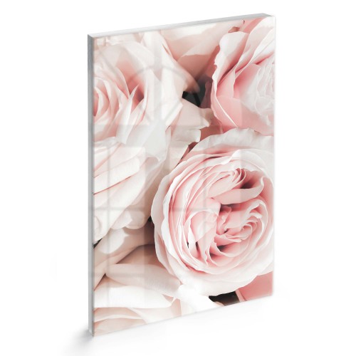 Obraz na szkle pudrowe róże 61283 - zdjęcie 3
