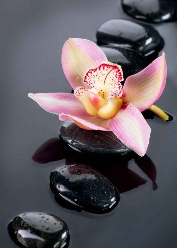 Panel szklany do łazienki Relaksujący klimat zen - kamienie spa i kwiat orchidei 93033 - zdjęcie 2