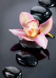 Panel szklany do łazienki Relaksujący klimat zen - kamienie spa i kwiat orchidei 93033 Naklejkomania - zdjecie 2 - miniatura