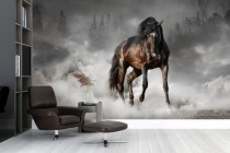 Fototapeta koń w leśnej mgle 21255 Naklejkomania - zdjecie 1 - miniatura