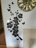 Opinia od Katarzyna