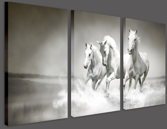 Tryptyk szary galop koni w wodzie 32270 - zdjęcie 3