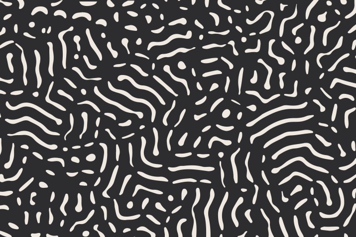 Fototapeta abstrakcja zebra 50046 - zdjęcie 2