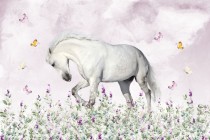 Fototapeta koń na kolorowej łące 21256 Naklejkomania - zdjecie 2 - miniatura