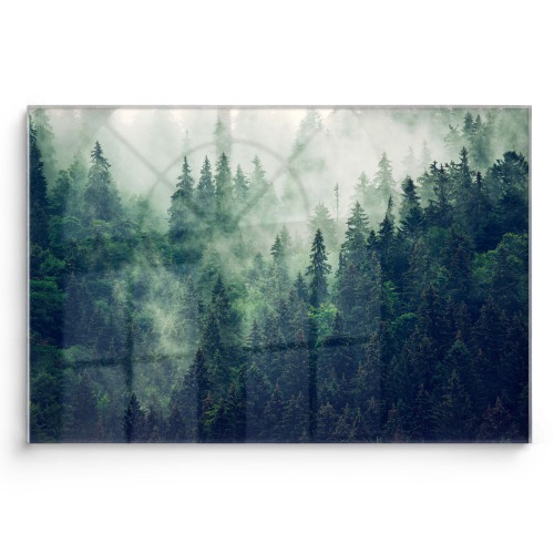 Obraz na szkle Mgła nad lasem 20171 02