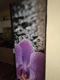 Opinia od Marta