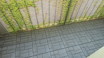 Opinia od Magdalena