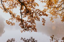 Fototapeta Jesienna sceneria nad jeziorem 32436 Naklejkomania - zdjecie 2 - miniatura