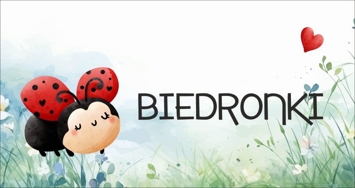 Tabliczka, zawieszka na drzwi do przedszkola grupa Biedronki 25801 Naklejkomania - zdjecie 1