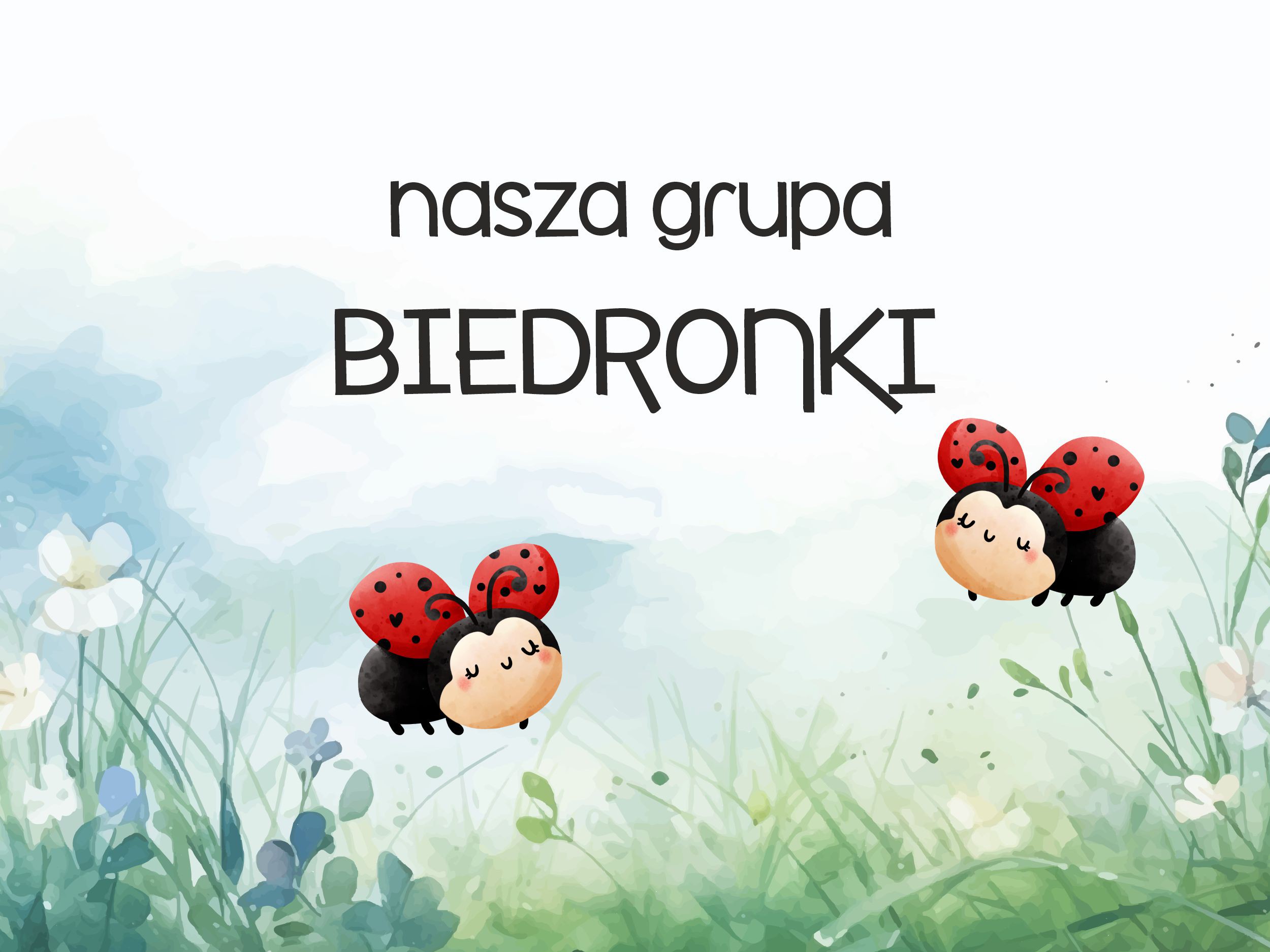 Biedronki