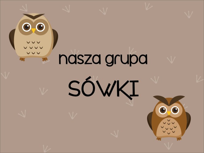 Maskownica magnetyczna na grzejnik do przedszkola, grupa Sówki 25832 - zdjęcie 2