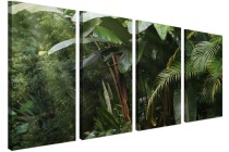 Czteroczęściowy obraz Światło w dżungli 32503 Naklejkomania - zdjecie 3 - miniatura