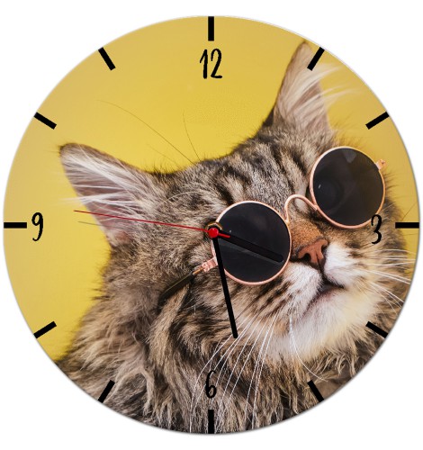 Zegar ścienny dla dzieci Kot w okularach Z057 Naklejkomania - zdjecie 1