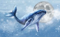 Fantastyczna fototapeta dla dzieci Wieloryb, ławica ryb i księżyc 21269 Naklejkomania - zdjecie 2 - miniatura