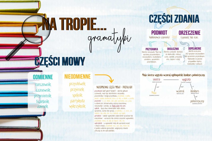 Polonistyczna Tapeta Papierowa do szkoły Podstawy gramatyki, język polski, części mowy 21289 02 - zdjęcie 2