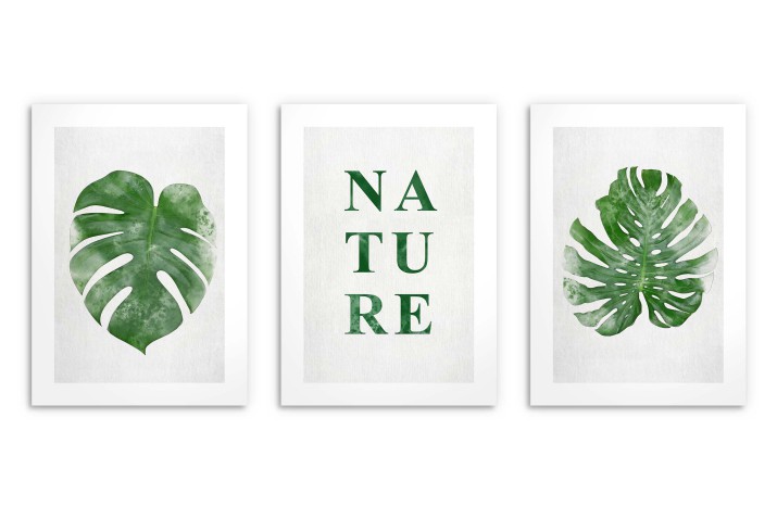 Minimalistyczne, botaniczne plakaty Nature: liście monstery 23182 - zdjęcie 4