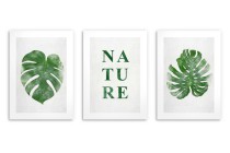 Minimalistyczne, botaniczne plakaty Nature: liście monstery 23182 Naklejkomania - zdjecie 4 - miniatura