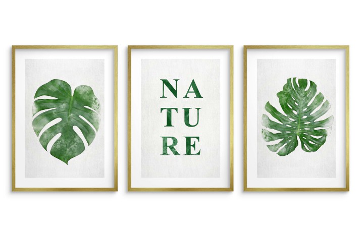 Minimalistyczne, botaniczne plakaty Nature: liście monstery 23182 - zdjęcie 3